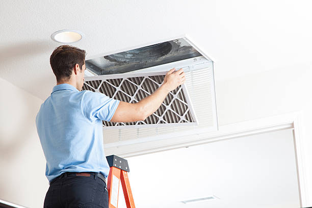 Best Air Filters and Purifiers in Glendale, CO